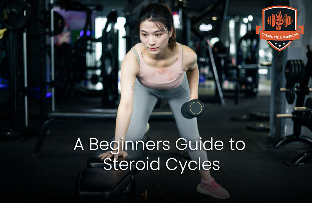 Steroid Cycles