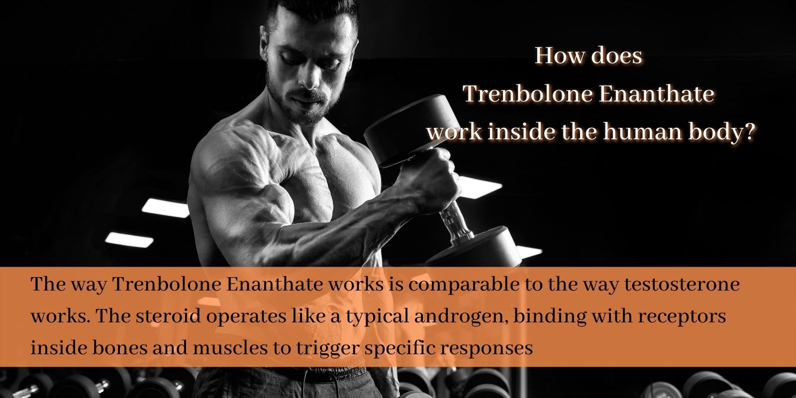 How does Trenbolone Enanthate work inside the human body_